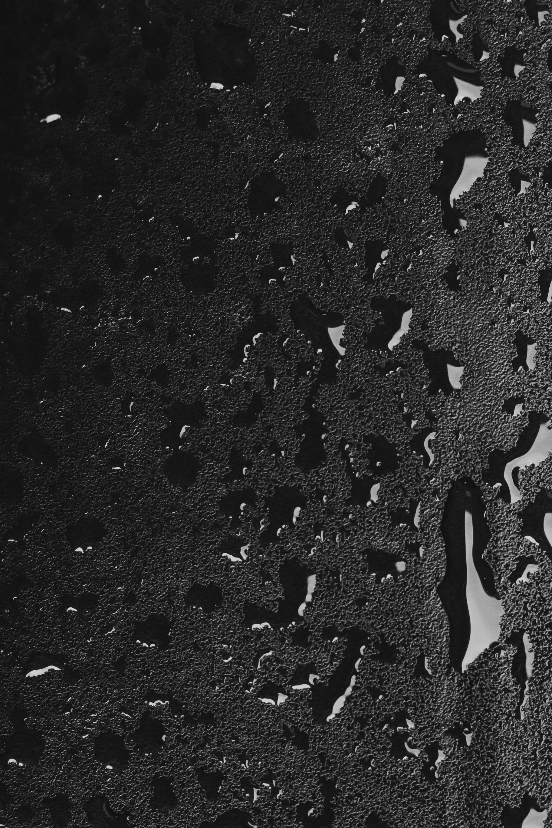 The 3-in-1 System Jacket - Image 10