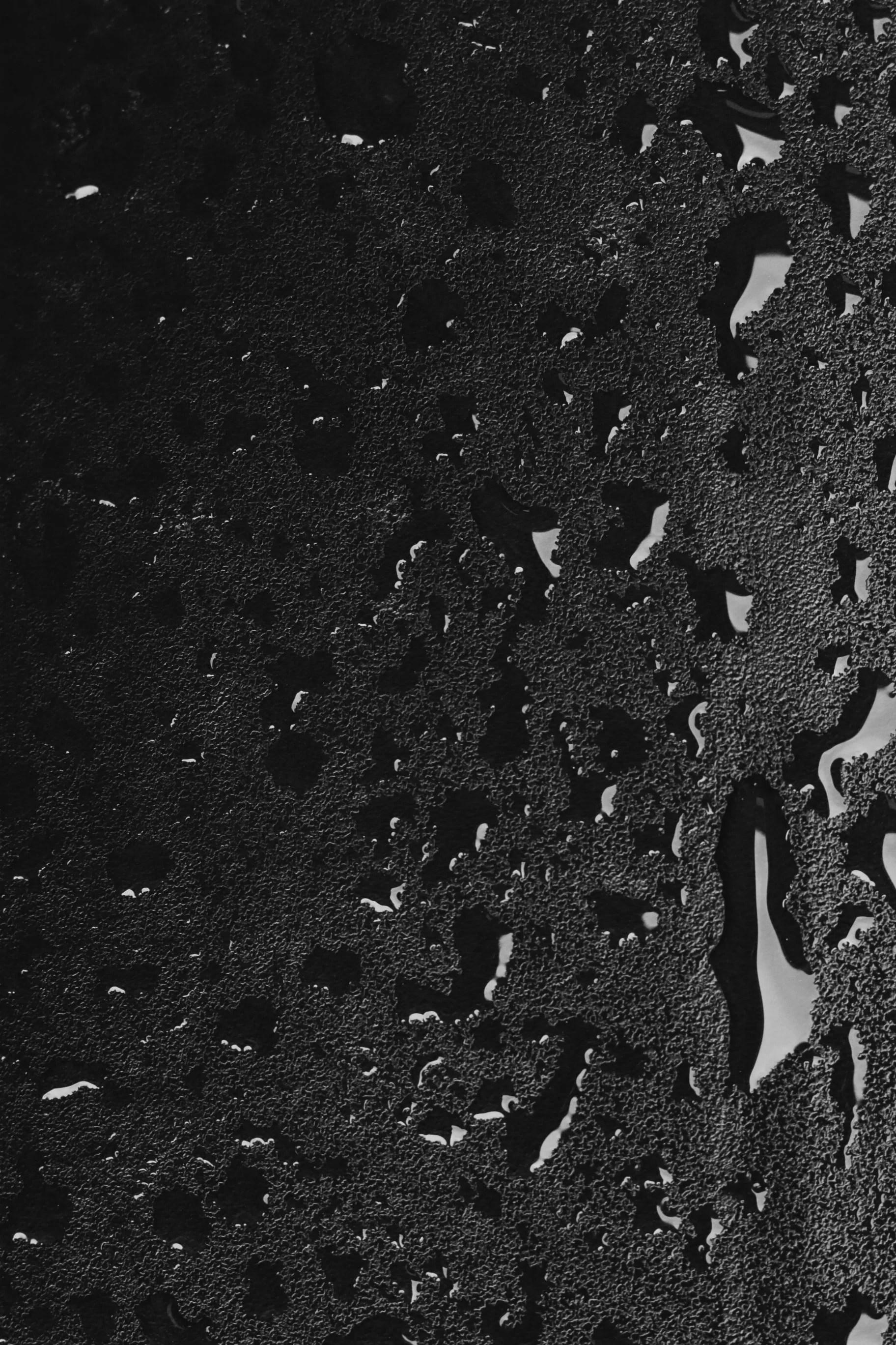 The 3-in-1 System Jacket - Image 5